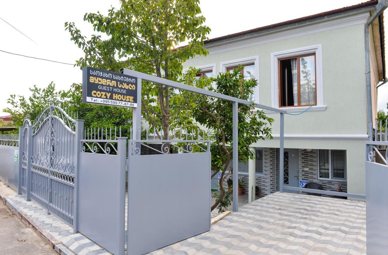فندق Cozy House كوتايسي المظهر الخارجي الصورة